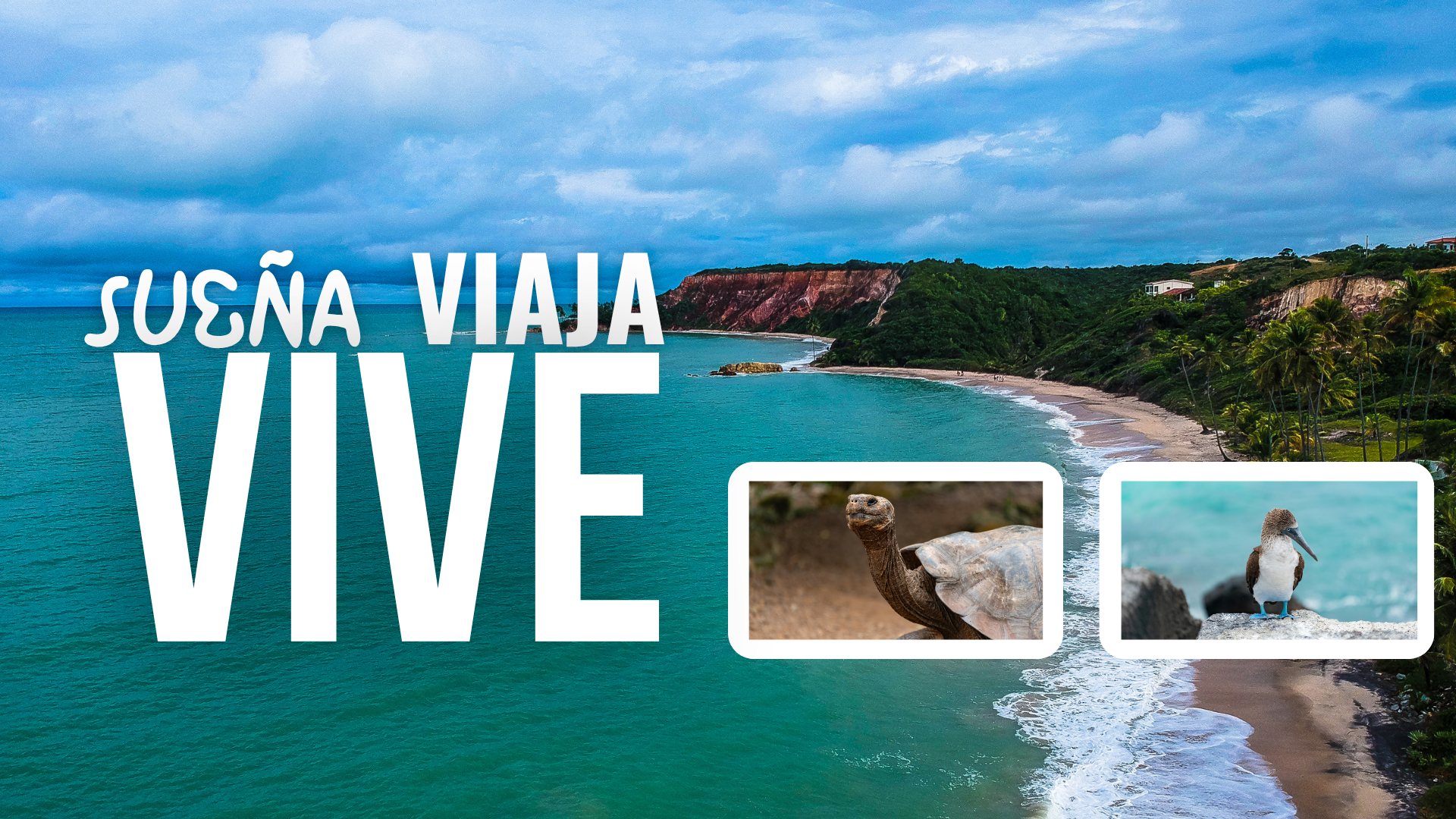 Portada 1 Zenvia Global